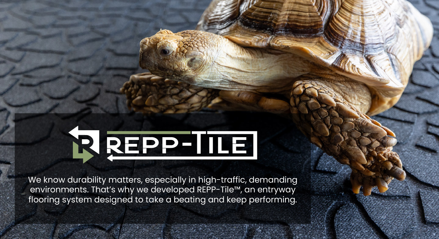 M+A Matting | REPP-Tile